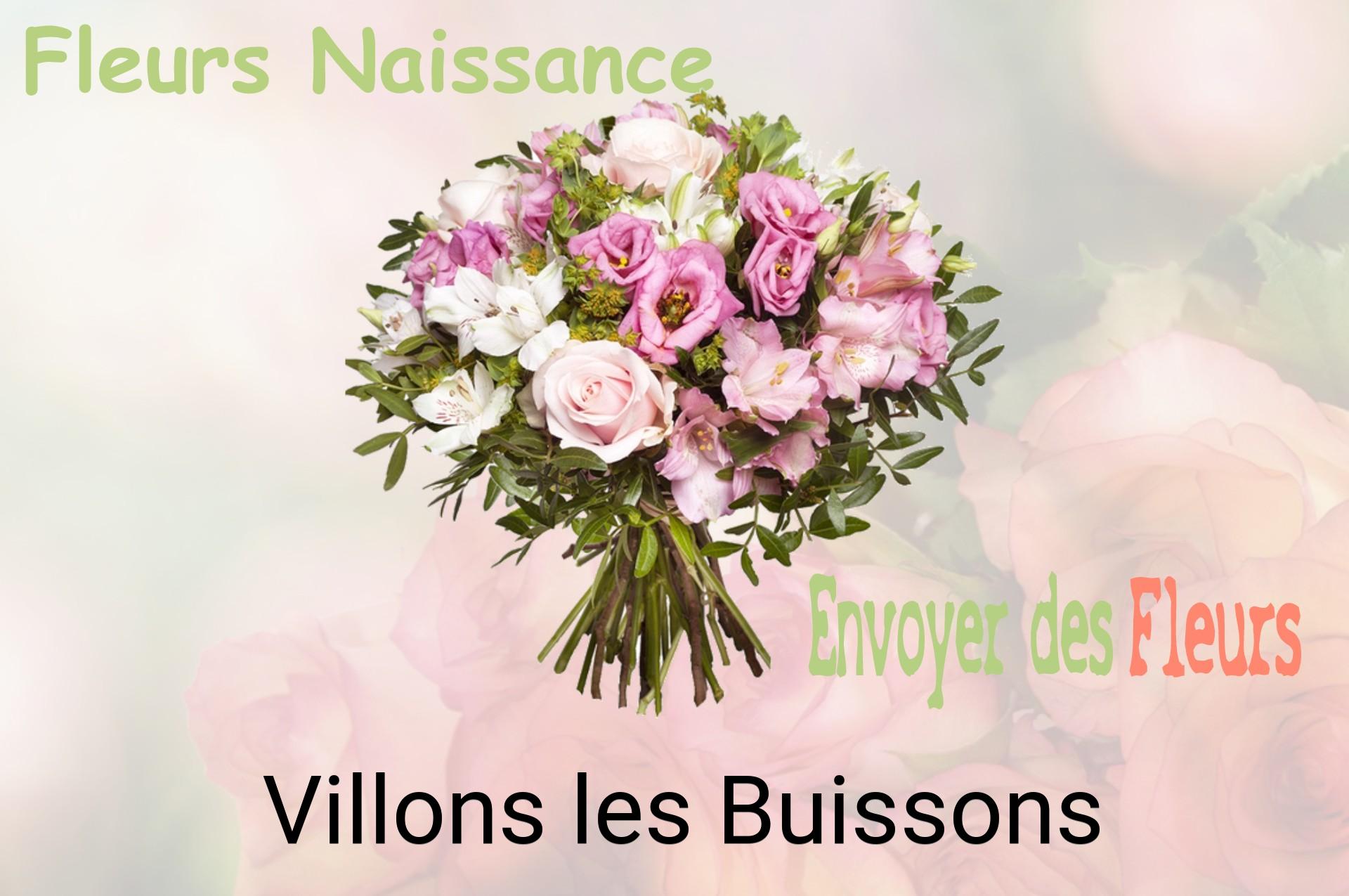 Bouquet de fleurs de naissance livré à Villons-les-Buissons
