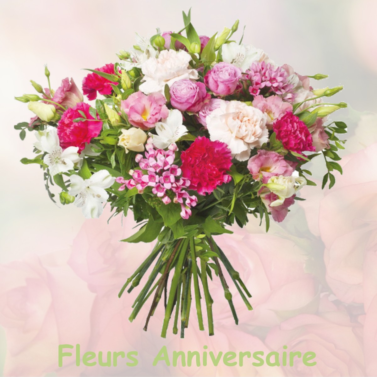 fleurs anniversaire VILLONS-LES-BUISSONS