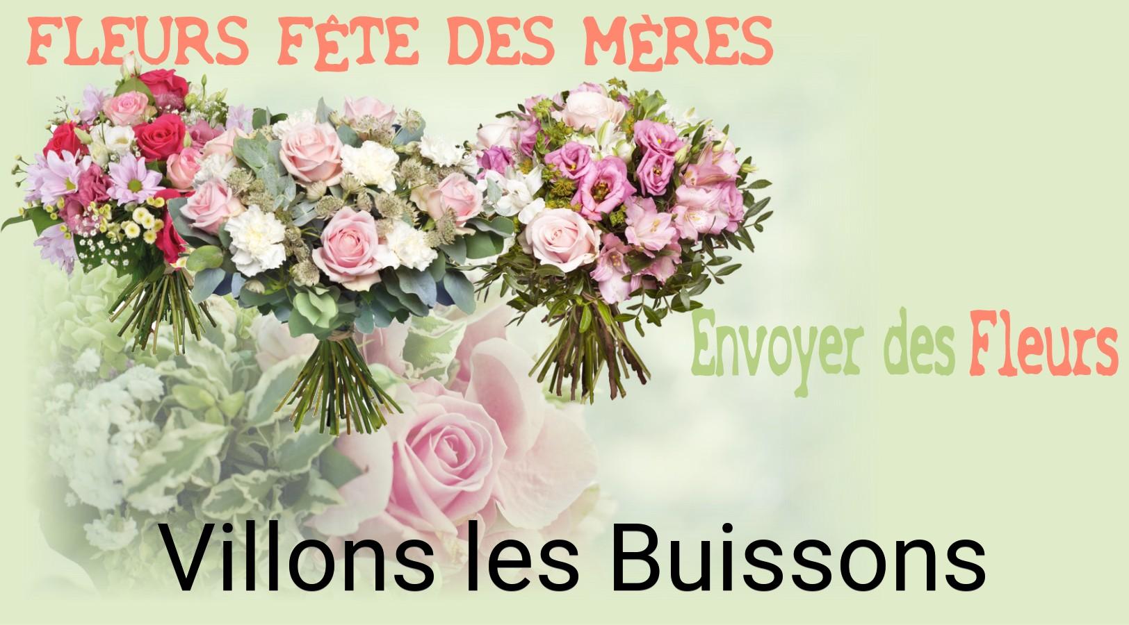 Bouquet de Fête des Mères livré à Villons-les-Buissons